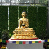 Seit August 2017 kann man den vergoldeten Friedens-Buddha in Bremen bestaunen.