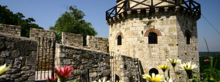 Im Laufe der Geschichte wurde die Burg mehrmals erweitert und neu errichtet.