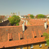 Über den Dächern der Fuggerei hat mein einen wunderbaren Ausblick auf das Augsburger Rathaus.