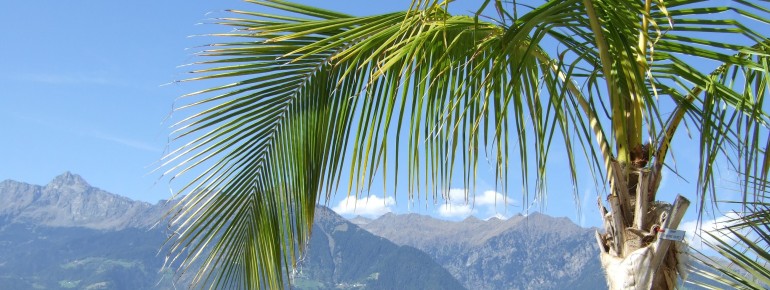 Die Liegestühle am Palmenstrand laden bei einem herrlichen Panorama zum Relaxen ein.