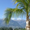 Die Liegestühle am Palmenstrand laden bei einem herrlichen Panorama zum Relaxen ein.