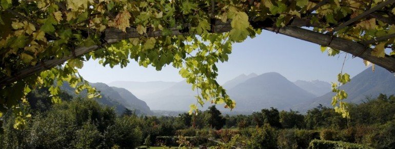 Ausblick vom Weinberg
