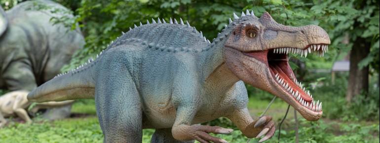 Werde Dino-Pate: Die Patenschaft wird mit einer individuell gestalteten Namensplakette direkt beim gewählten Dino sichtbar gemacht.