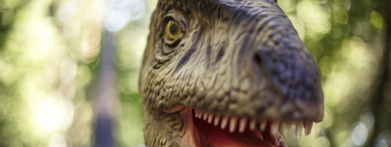 Nimm eine Reise durch die verschiedenen Erdzeitalter.