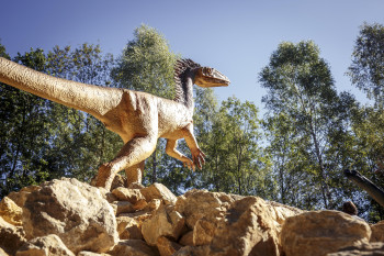 Über 70 lebensgroße Dinosaurier Nachbildungen werden in dem Museum ausgestellt.