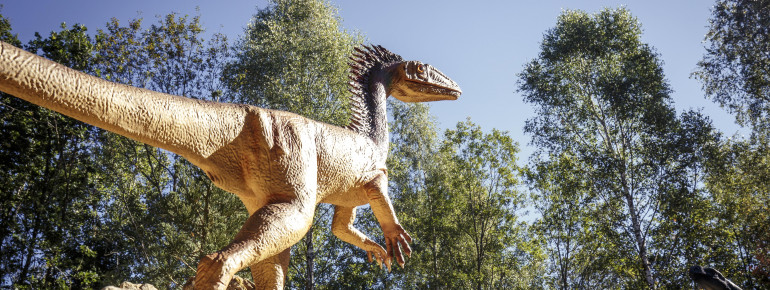 Über 70 lebensgroße Dinosaurier Nachbildungen werden in dem Museum ausgestellt.