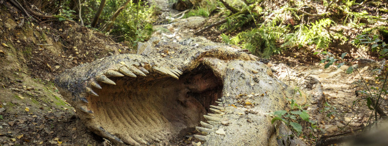 Das Museum stellt Jagdszenen und Brutgelege verschiedener Dinosaurier nach.