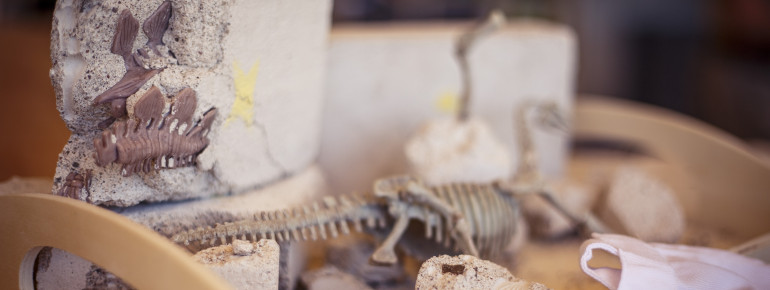 Hier kannst du alles darüber lernen, wie Fossilien ausgegraben werden.