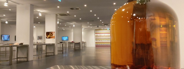 Die Ausstellung zeigt, dass Ekel kein universelles Gefühl ist, sondern stark kulturell geprägt wird.