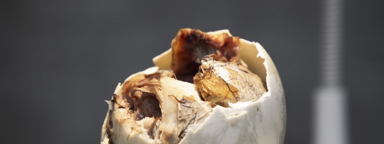 Es ist der Streetfood-Klassiker auf den Philippinen: Balut, ein halbentwickeltes Entenei.