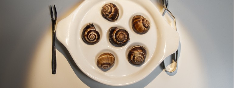 Gaumenschmaus oder Gaumengraus? Für manche sind Schnecken eine wahre Delikatesse.