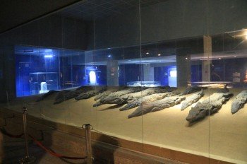 Wenige Meter vom Tempel entfernt befindet sich ein Museum mit mumifizierten Krokodilen