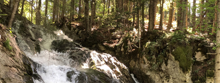 In der Klamm kannst du die Kraft des Wassers erahnen.