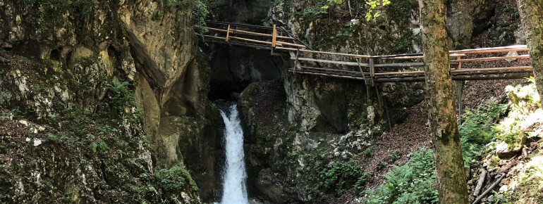 Auf Holzbohlen und Treppen geht es durch die 2.längste Klamm Österreichs.