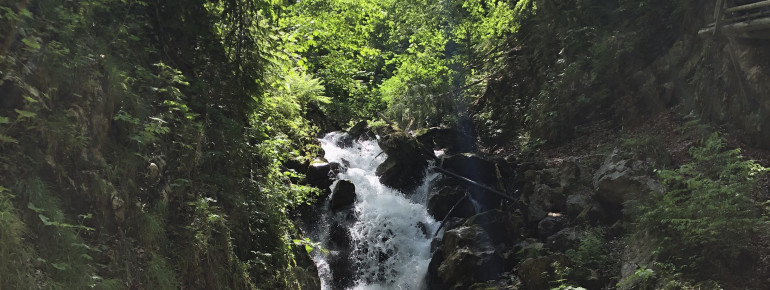 Erlebe ein besonderes Naturschauspiel.