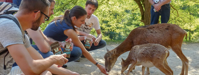Im Streichelzoo können Besucher die Tiere selbst füttern.