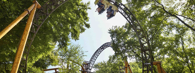 Im 2009 eröffneten Falcon geht es rasant zu.