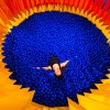 Ein tiefblaues Bällebad trifft auf eine leuchtend orangefarbene Kulisse.