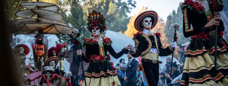 Halloween wird im Europapark groß gefeiert.
