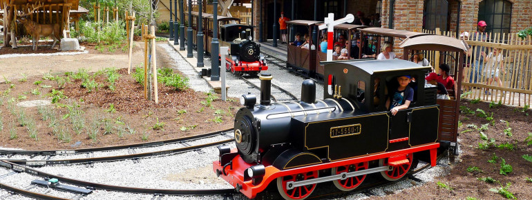 Auf der idyllischen Fahrt mit dem Waldexpress gibt es viele Wald- und Wildtiere zu entdecken.