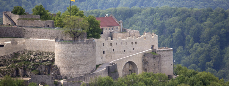 Die Burg Hohenneuffen ist das Zuhause seltener Tiere und Pflanzen.