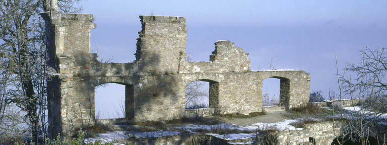 Im langen Bau befanden sich unter anderem auch Stallungen.