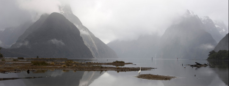 Mystische Stimmung am Milford Sound.