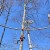 Die Flyline richtet sich bewusst an Genießer, entspannt schwebt man über den Bayerischen Wald.