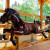 Der Ponyhof in der Themenwelt Tukis ist eine von mehr als 100 Attraktionen im Freizeitpark.