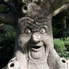 Im Märchenpark Isartal erlebt ihr auf einem Wald-Rundweg mehr als 20 Märchen mit über 260 Figuren.
