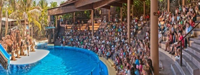 Tiershow im Oasis Park