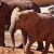 Elefanten im Fuerteventura Oasis Park