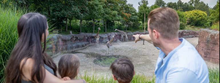 Ein Besuch im GaiaZOO ist eine komplette Weltreise an einem Tag!