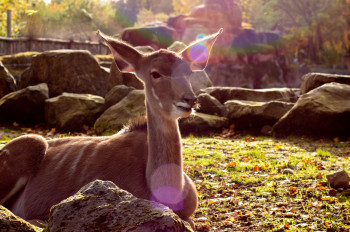 Im GaiaZOO leben fast 150 verschiedene Tierarten.