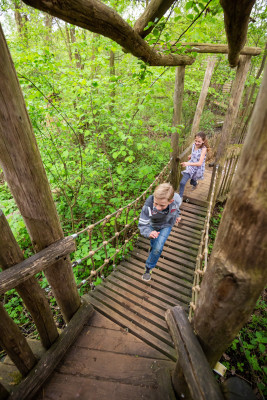Bei der JungleTour klettern die Kids über spannende Hängebrücken und hohe Klettertürme.