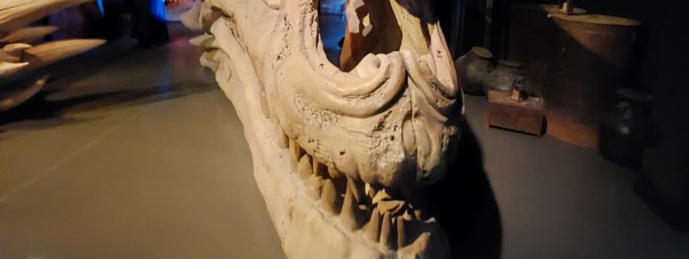 Die Game of Thrones Studio Tour bietet täglich Führungen an.