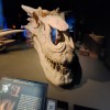 Die Game of Thrones Studio Tour bietet täglich Führungen an.