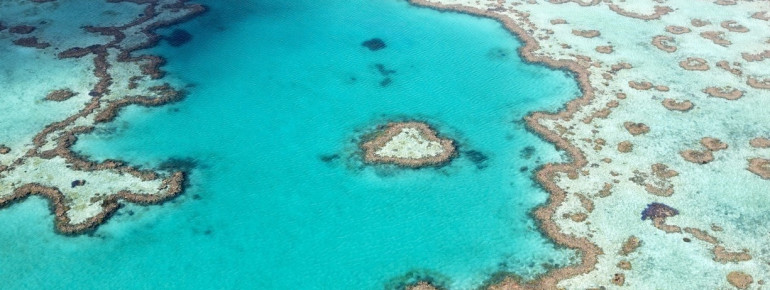 Great Barrier Reef, Queensland 2014