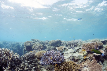 Great Barrier Reef, Queensland 2014