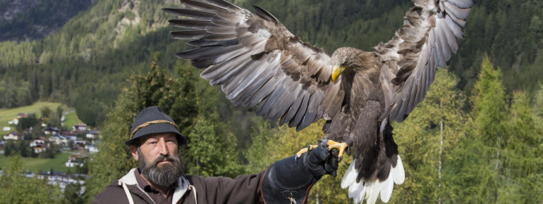 Die Tiere werden von Fachleuten betreut.
