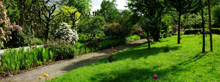 Kilometerlange Wege laden zum Spazieren und Joggen ein.