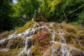 Der Gütersteiner Wasserfall fließt in sanften Kaskaden über moosbewachsene Tuffterrassen.
