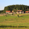 Hundewiesen und -wege zum Freilaufen, große Weiden und geräumige Stallanlagen zeichnen das Aiderbichler Tierparadies in Henndorf aus.