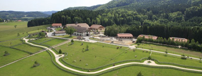 Das Gut Aiderbichl in Henndorf bei Salzburg bietet seit 2011 Platz für gerettete Tiere.