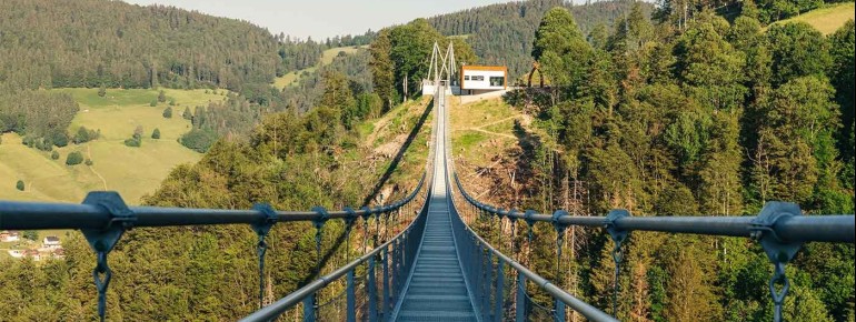 Die Blackforestline in Todtnau ist eine 450 Meter lange Hängeseilbrücke, die in 120 Metern Höhe über den Todtnauer Wasserfall führt.