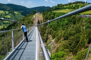 Die 1,20 Meter breite Hängebrücke führt mitten durch die Landschaft des Biosphärengebiets Schwarzwald bei Todtnau.