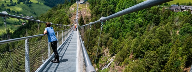 Die 1,20 Meter breite Hängebrücke führt mitten durch die Landschaft des Biosphärengebiets Schwarzwald bei Todtnau.