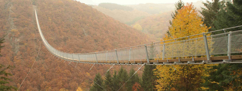 Besonders im Herbst erwartet dich ein buntes Farbenspiel.