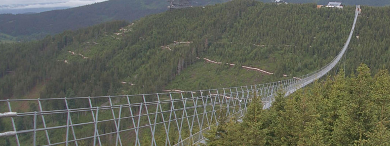 Wer die Brücke überqueren will, der sollte keine Höhenangst haben.