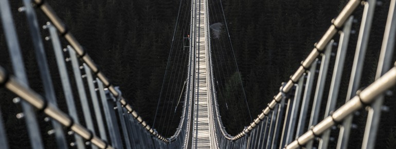 Mit knapp 100 Metern über dem Waldboden überquert man die Brücke.